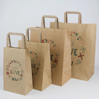 Gift craft bags