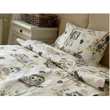 Постельное белье Ecotton Фланель Детский комплект Совы G-9832/11