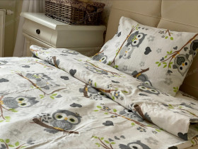 Постельное белье Ecotton Фланель Детский комплект Совы G-9832/11