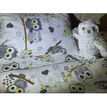 Постельное белье Ecotton Фланель Детский комплект Совы G-9832/11