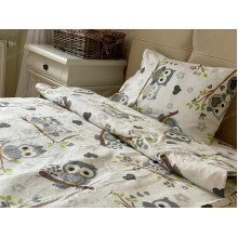 Постельное белье Ecotton Фланель Детский комплект Совы G-9832/11