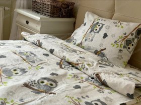 Постельное белье Ecotton Фланель Детский комплект Совы G-9832/11
