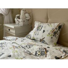 Постельное белье Ecotton Фланель Детский комплект Совы G-9832/11
