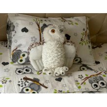 Постельное белье Ecotton Фланель Детский комплект Совы G-9832/11