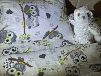 Постельное белье Ecotton Фланель Детский комплект Совы G-9832/11