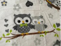 Постельное белье Ecotton Фланель Детский комплект Совы G-9832/11