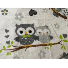 Постельное белье Ecotton Фланель Детский комплект Совы G-9832/11