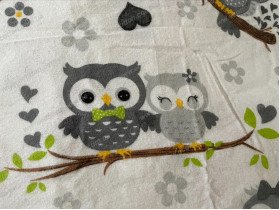 Постельное белье Ecotton Фланель Детский комплект Совы G-9832/11
