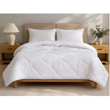 Euro blanket 200x210 Ecotton anti-allergenic light white