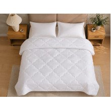 Euro blanket 200x210 Ecotton anti-allergenic light white