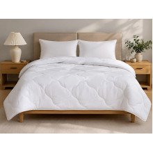 Double blanket 172x205Ecotton anti-allergenic all-season white color White