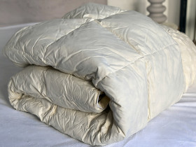 Ковдра Євро 200x220 Ecotton Пух 50% Тік Бежевий