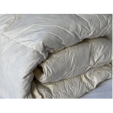 Одеяло полуторное 150x210 Ecotton Пух 50% Тик Бежевый