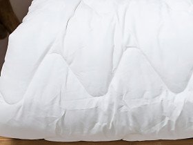 Одеяло Евро 200x220 Ecotton Силикон 300 Ranforce Белый 20-0256