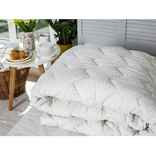 Одеяло двуспальное 180x210 Ecotton Силикон 300 Ranforce Белый 40-0968
