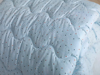 Одеяло Евро 200x220 Ecotton Силикон 300 Ranforce Голубой 20-0256