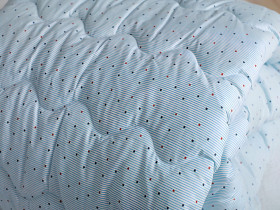 Ковдра Євро 200x220 Ecotton Силікон 300 Ranforce Блакитний 20-0256