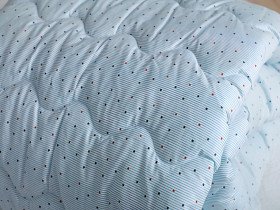 Одеяло Евро 200x220 Ecotton Силикон 300 Ranforce Голубой 20-0256