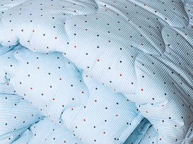 Одеяло Евро 200x220 Ecotton Силикон 300 Ranforce Голубой 20-0256