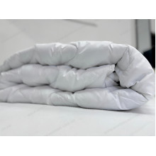 Одеяло двуспальное 180x210 Ecotton Силикон 300 Полисатин
