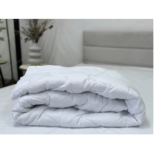 Одеяло двуспальное 180x210 Ecotton Силикон 300 Полисатин