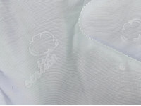 Одеяло двуспальное 180x210 Ecotton Силикон 300 Полисатин