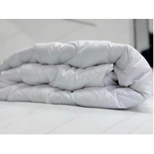 Euro blanket 200x210 Ecotton anti-allergenic all-season white Ecotton