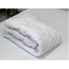 Euro blanket 200x210 Ecotton anti-allergenic all-season white Ecotton