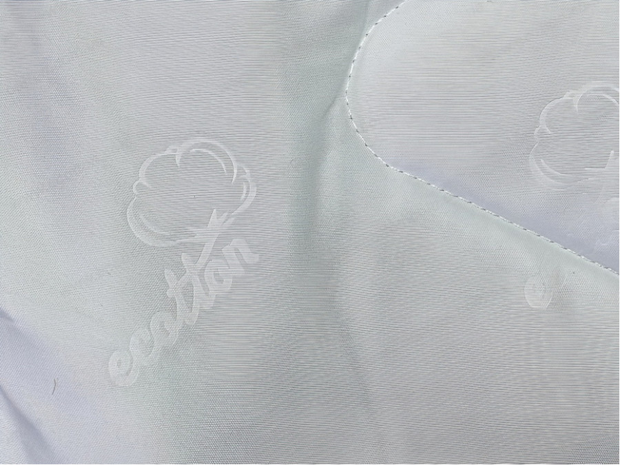 Euro blanket 200x210 Ecotton anti-allergenic all-season white Ecotton