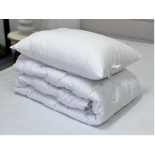 Euro blanket 200x210 Ecotton anti-allergenic all-season white Ecotton
