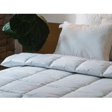 Ecofill double blanket 172x205 Ecotton anti-allergenic swan down cover teak