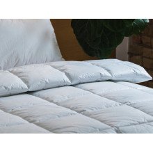 Ecofill Euro blanket 200x210 Ecotton anti-allergenic swan down cover teak