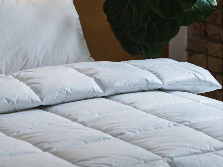 Ecofill double blanket 172x205 Ecotton anti-allergenic swan down cover teak