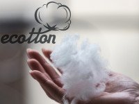 Ковдра Ecofill півтораспальна 140x205 Ecotton антиалергенна лебединий пух чохол тік