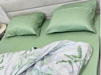 Pillowcase 50x70 2 pcs. Ecotton Satin 21006