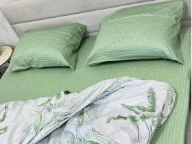 Pillowcase 50x70 2 pcs. Ecotton Satin 21006