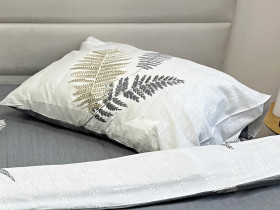 Pillowcase 50x70 2 pcs. Ecotton Satin 21007