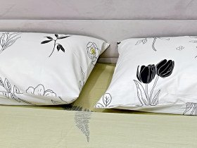 Pillowcase 50x70 2 pcs. Ecotton Satin 24303