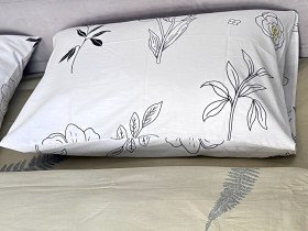 Pillowcase 50x70 2 pcs. Ecotton Satin 24303