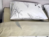 Pillowcase 50x70 2 pcs. Ecotton Satin 24303