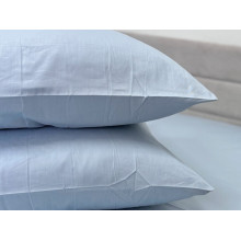Наволочка 50x70 2 шт. Ecotton Сатин Голубой Pearl 14-4206