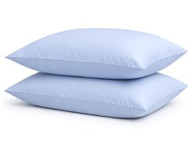 Наволочка 50x70 2 шт. Ecotton Сатин Голубой Pearl 14-4206