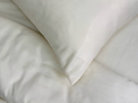 Наволочка 50x70 Ecotton Полісатин Creme Yellow
