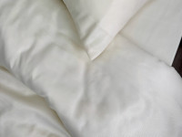 Pillowcase 50x70 Ecotton Polysatin Creme Yellow