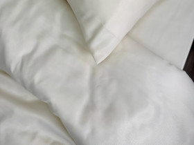 Pillowcase 50x70 Ecotton Polysatin Creme Yellow