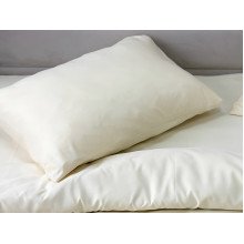 Pillowcase 50x70 Ecotton Polysatin Creme Yellow