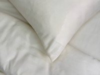 Pillowcase 50x70 Ecotton Polysatin Creme Yellow