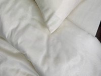 Pillowcase 50x70 Ecotton Polysatin Creme Yellow