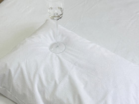 Наволочка 50x70 Ecotton Aqua-stop Махровая ткань на змейке