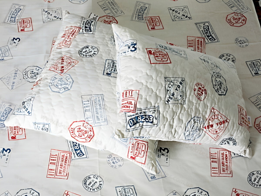 Наволочка 50x70 2 шт. Ecotton Бязь Серый 40-0964